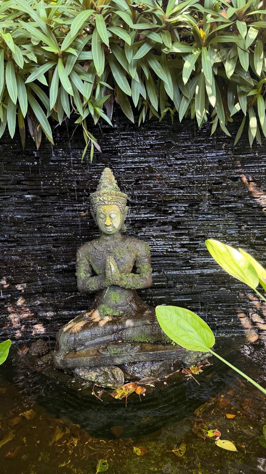 Moosbewachsene Buddha-Figur in meditativer Haltung vor einer Wasserwand, umgeben von grünen Pflanzen